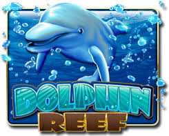 Dolphin Reef by MegaH5 at Syarikatcuci